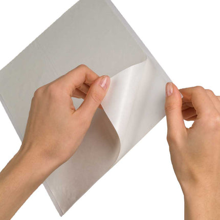 ScanX Phosphor Plate Cleaning Sheets, 12/Pk, B2010