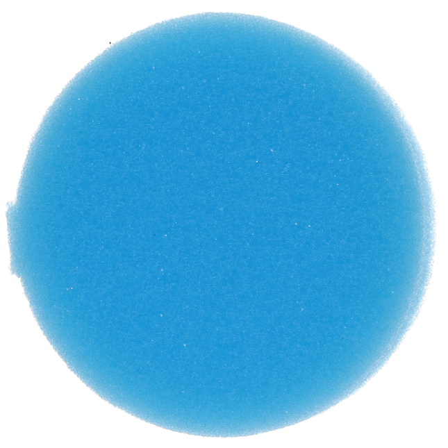 Endo Sponge Foam Inserts, Round, Blue, 48/Pk, EFI(R)-2