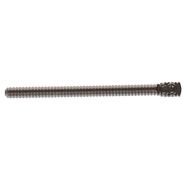 Stainless Steel Post #5 10/Pk