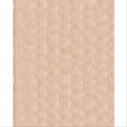 Crosstex - Advantage Bibs 2-Ply 13x18 500/Case Beige, WEXABG