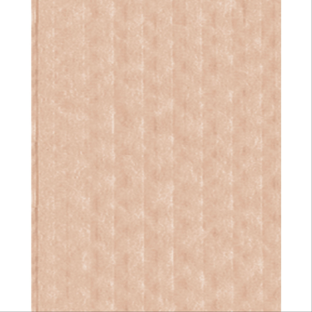 Crosstex - Advantage Bibs 2-Ply 13x18 500/Case Beige, WEXABG