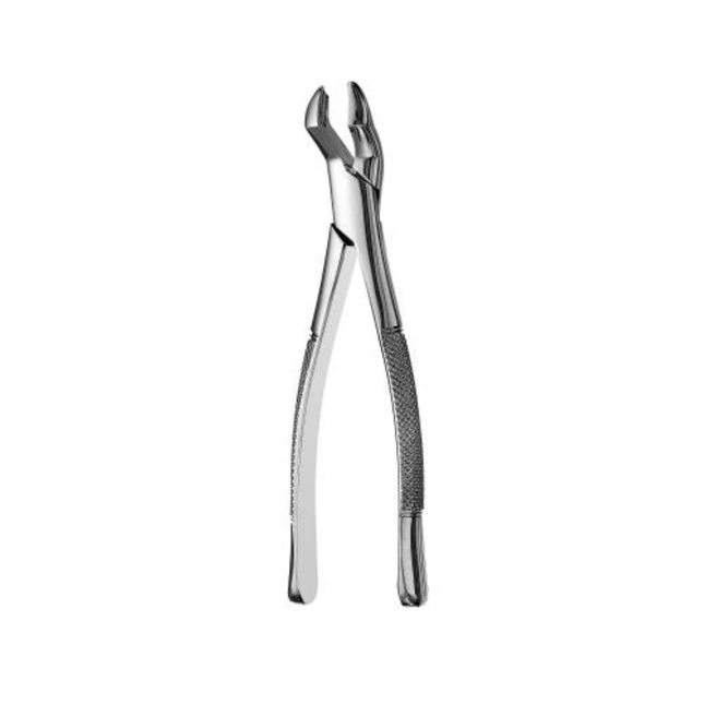 53L Forceps, F53L
