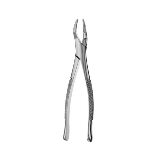 65 Forceps, F65