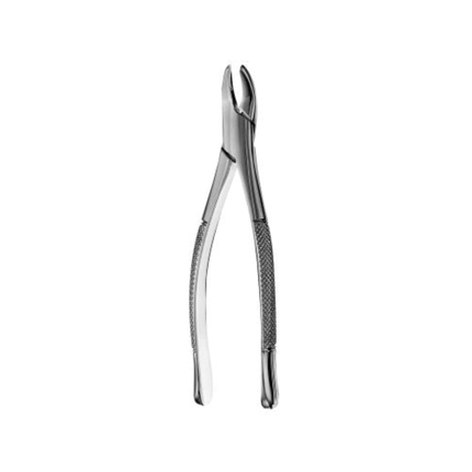 62 Forceps, F62