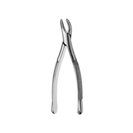 101 Hull Forceps, F101