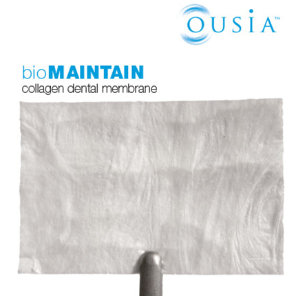 BioMaintain Bovine Membrane 20mm x 30mm 1 each