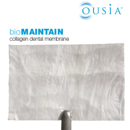 BioMaintain Bovine Membrane 20mm x 30mm 1 each