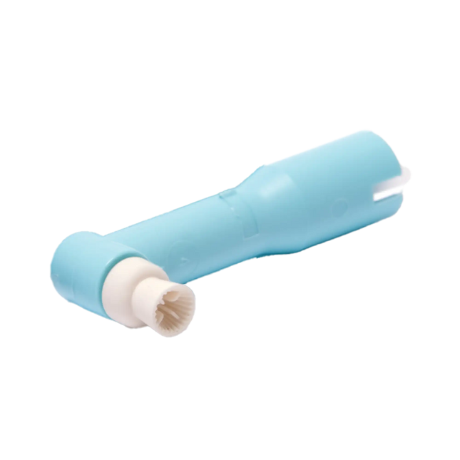 Quala - Disposable Prophy Angle, Long Firm Cup, 500/bx