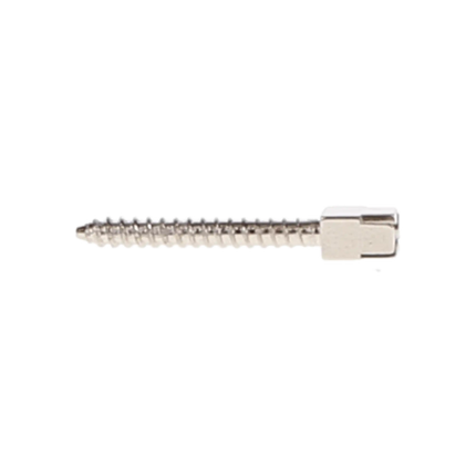 HSB - Stainless-Steel Screw Post Refill - L2, #2 Long 11.8mm (12/Pk)