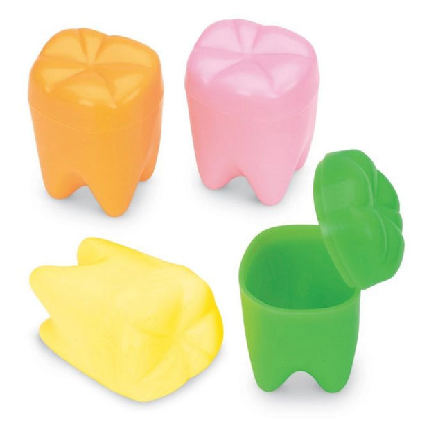 Rainbow Tooth Holders 144/Bx