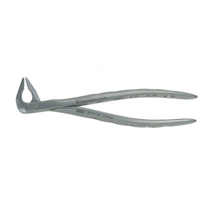 Extracting Forceps, 36M, Xcision
