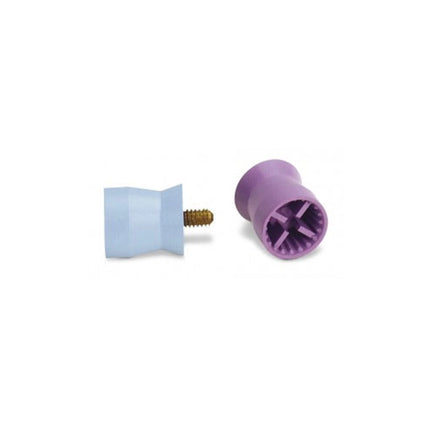 Young - Cup Petite Web Lf Ltblue 720