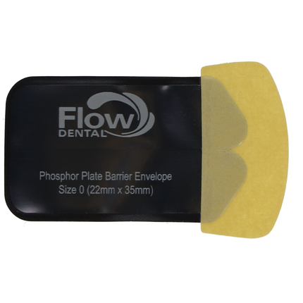 Safe 'n' Sure Deluxe Barrier Envelopes, # 0, 300/Pk, 80101