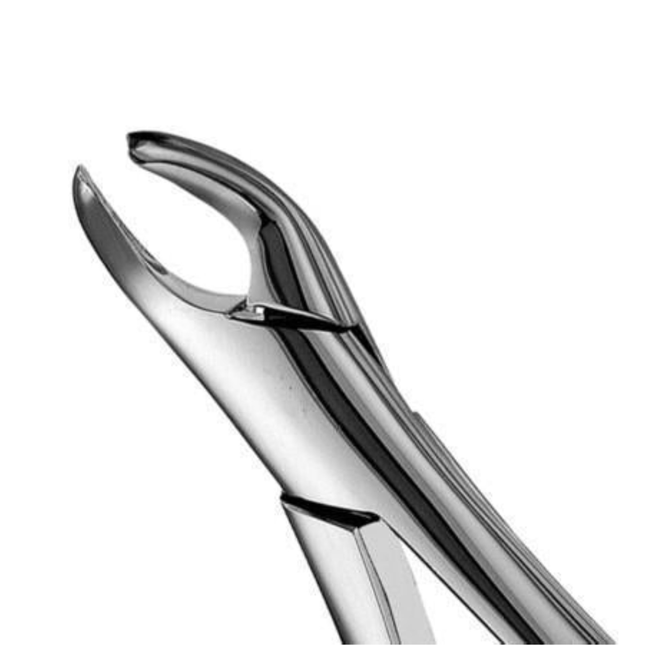 Extraction Forceps, Cryer, Universal, # 151, 1/Pk, F151