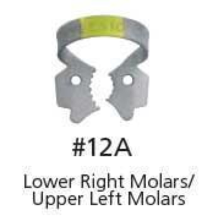 Hygenic Fiesta Clamp, # 12A, Winged, 1/Pk, H09963