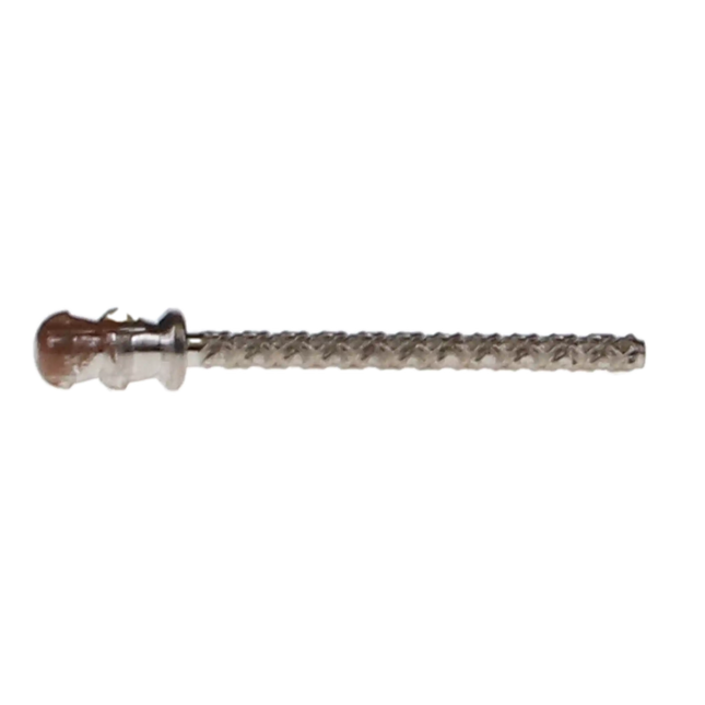 Coltene - ParaPost XH Post Titanium P88-3 10/Pk