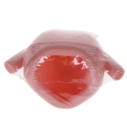 Personal Inhaler Plus Nasal Hoods, Large, Variety Pack 3, Mint, Peach & Vanilla, 24/Pk, 33015-3