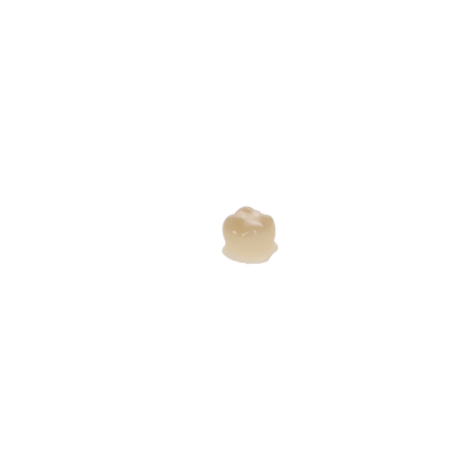 Protemp Crown Temporization Material, Adult, Refill, Upper Small Molar, Universal Shade, 5/Pk