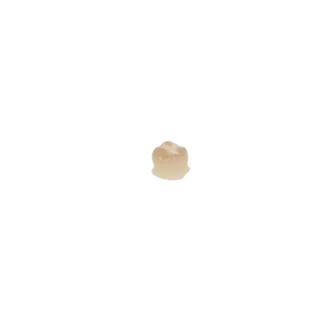 Protemp Crown Temporization Material, Adult, Refill, Upper Small Molar, Universal Shade, 5/Pk