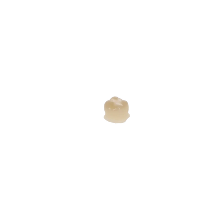 Protemp Crown Refill US Molar 5/Pk