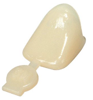 Polycarbonate Crowns, Adult, Central, # 10 Upper Right, Universal Shade, 5/Pk, P10