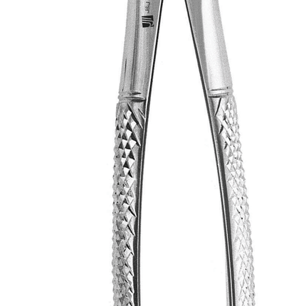 Extracting Forceps, Straight Handle, Universal, # MD1, 1/Pk, IN06-321