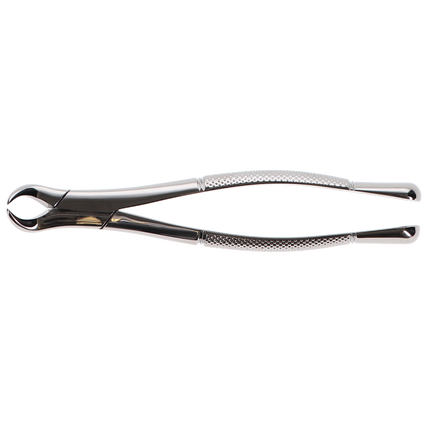 Extracting Forceps, Cowhorn, # 23, 1/Pk, F23