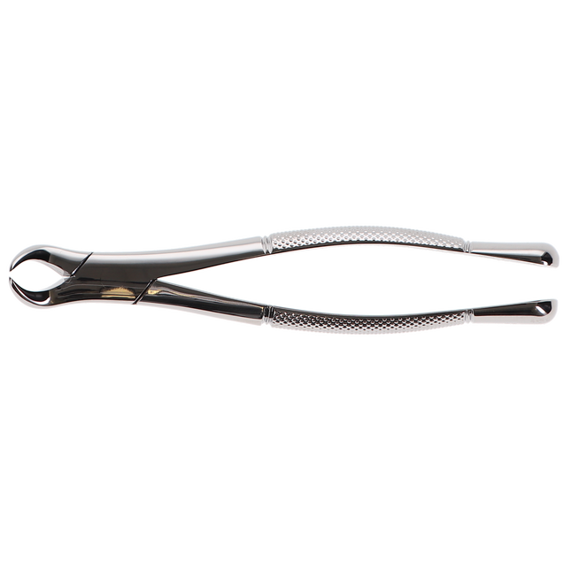 Extracting Forceps, Cowhorn, # 23, 1/Pk, F23