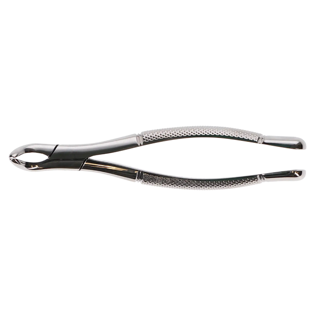 Forcep Pedo 151S