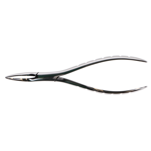 Presidental Root Forceps, Serrated, # 300, 1/Pk, F300