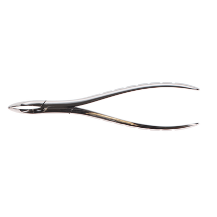 Presidental Root Forceps, Serrated, # 301, 1/Pk, F301