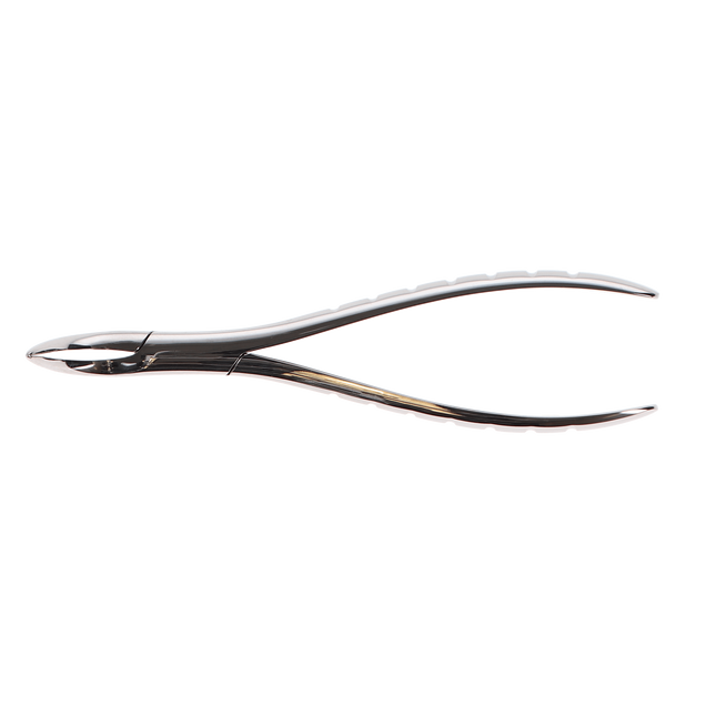 Presidental Root Forceps, Serrated, # 301, 1/Pk, F301