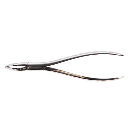 Forcep Root #301