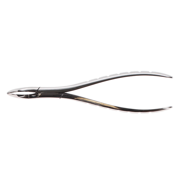 Forcep Root #301