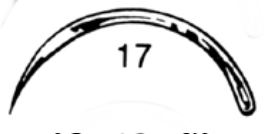 Suture Needles, 1/2 Circle Cutting Edge, # 17, 12/Pk, MS192-17