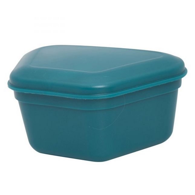 Denture Box, Teal, 12/Pk, 30R800J