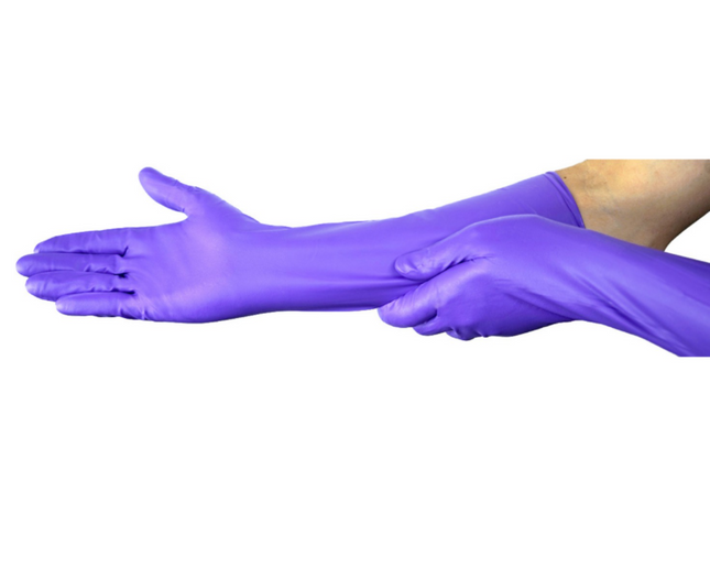 Purple Nitrile Max Exam Gloves, Powder-Free, Large, 50/Box